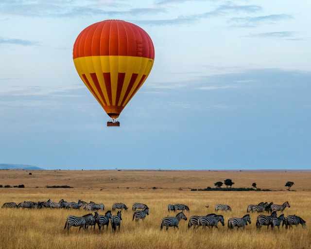 Comment préparer une aventure inoubliable en Afrique ?